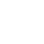 in-icon